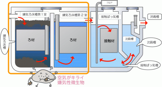 浄化槽の一例