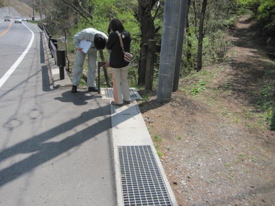 調査忍野