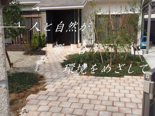 image510-2
