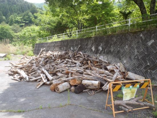 流木　R7.6月