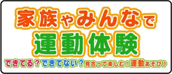 2017douga