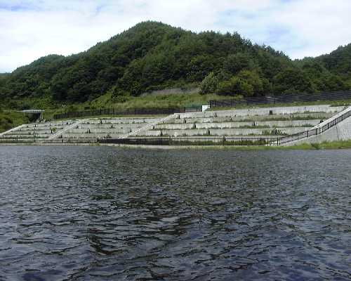 植生浄化施設2