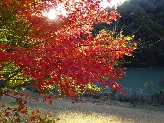 20171101小金沢公園2