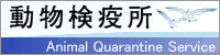 動物検疫所のホームページリンク