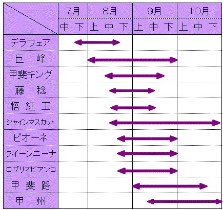 ブドウ収穫期