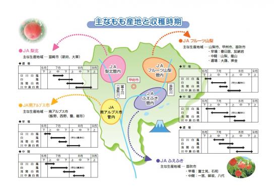 もも地図