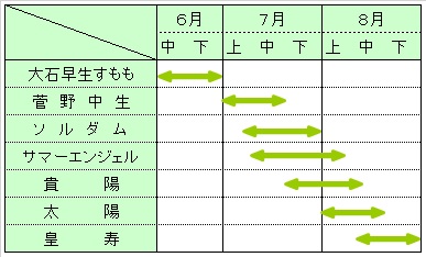 すもも収穫期