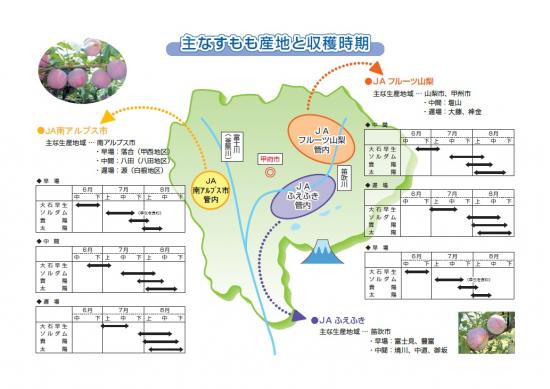 すもも地図