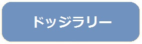 ドッジラリー3年