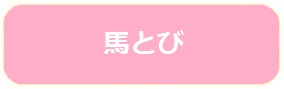 leap-icon
