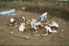 0158_平野遺跡調査状況