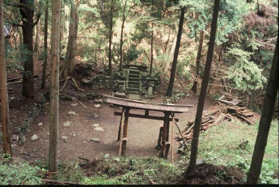 神社本殿