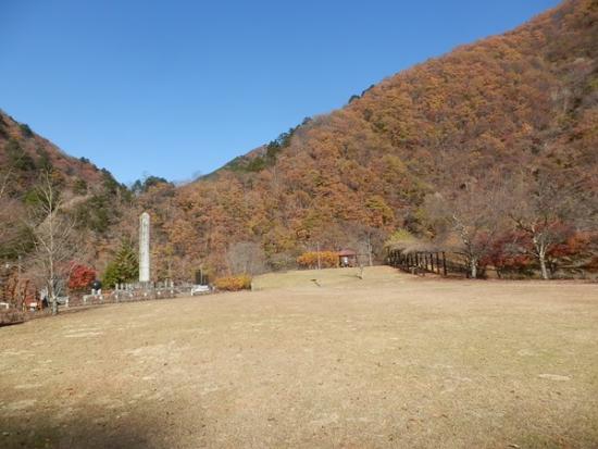 令和6年11月29日の小金沢公園1