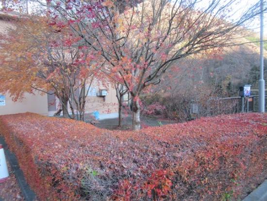 令和6年12月6日の深城ダム3