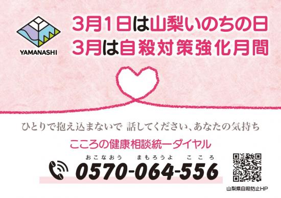 ティッシュ1