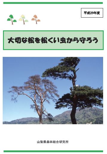 大切な松を松くい虫から守ろう