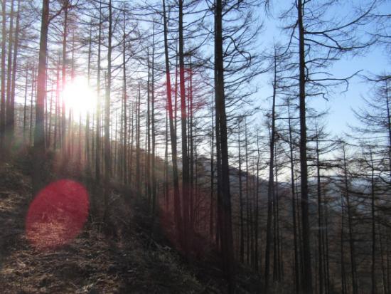 平成29年4月16日撮影の日の出後の奈良倉山