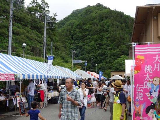 平成29年7月30日に撮影した森と湖に親しむつどい8