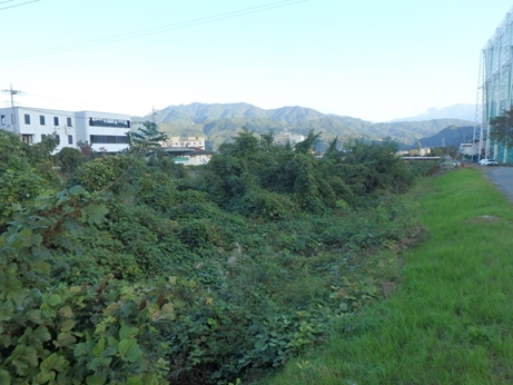 戸川地点2着手前