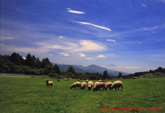 第3回やまなし農村風景写真コンクール知事賞