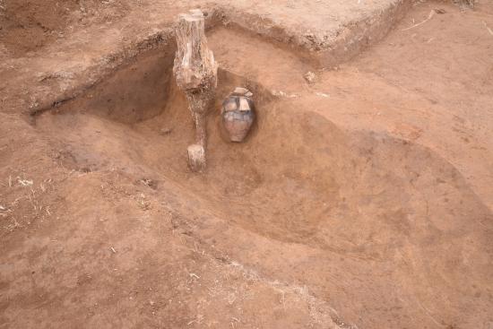 デジタルミュージアム中原遺跡甕出土状況