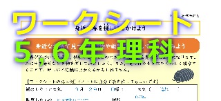 5・6年生理科ワークシート