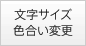 文字サイズ 色合い変更